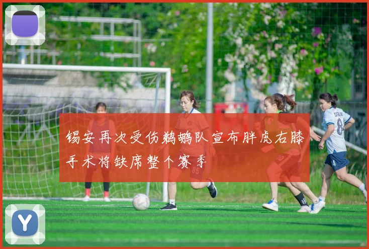 快船与奇才激战正酣在线直播精彩瞬间回顾与分析