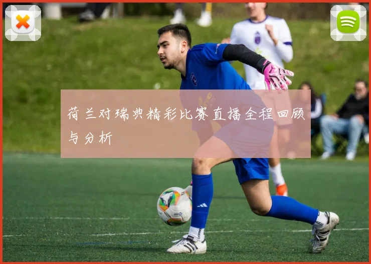 荷兰对瑞典精彩比赛直播全程回顾与分析