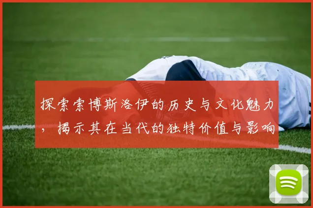 探索索博斯洛伊的历史与文化魅力，揭示其在当代的独特价值与影响力