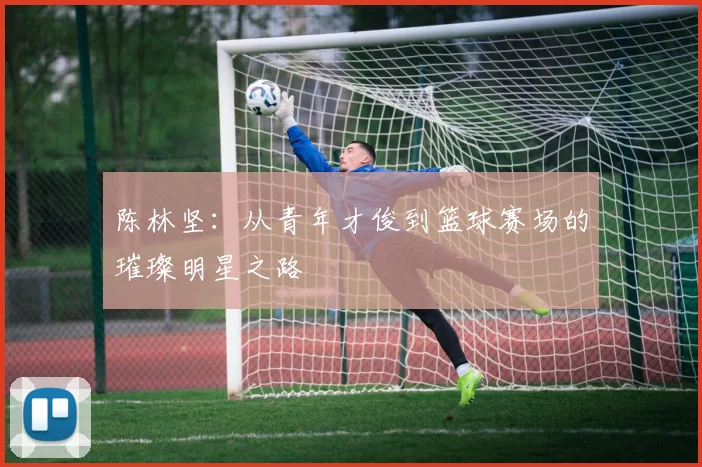 陈林坚：从青年才俊到篮球赛场的璀璨明星之路